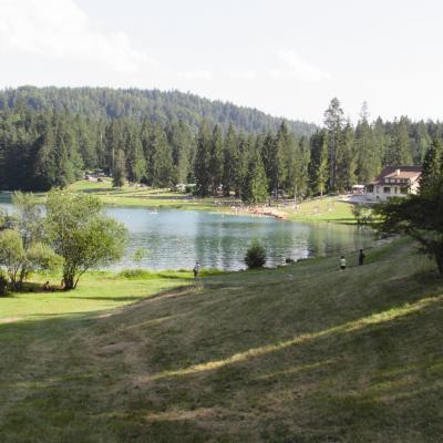 D Couverte Du Patrimoine Du Lac Genin Et De Ses Zones Humides J Agis