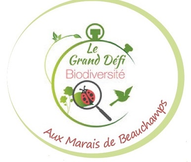 Grand D Fi Biodiversit J Agis Pour La Nature