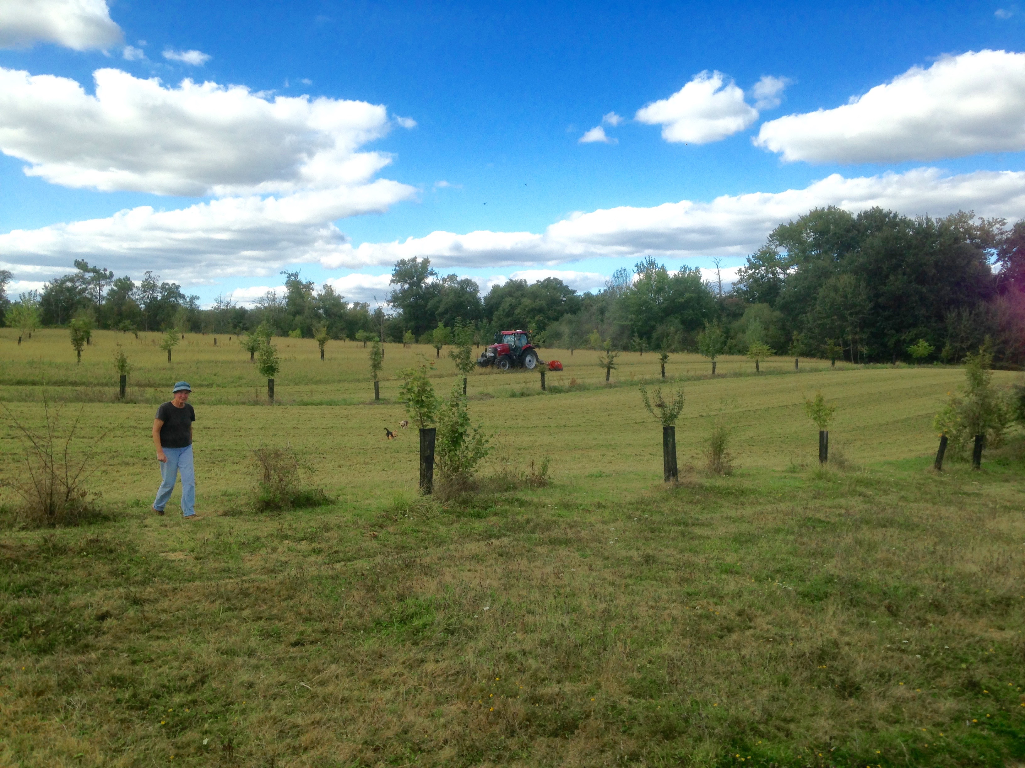 Chantier De Plantation Participatif J Agis Pour La Nature