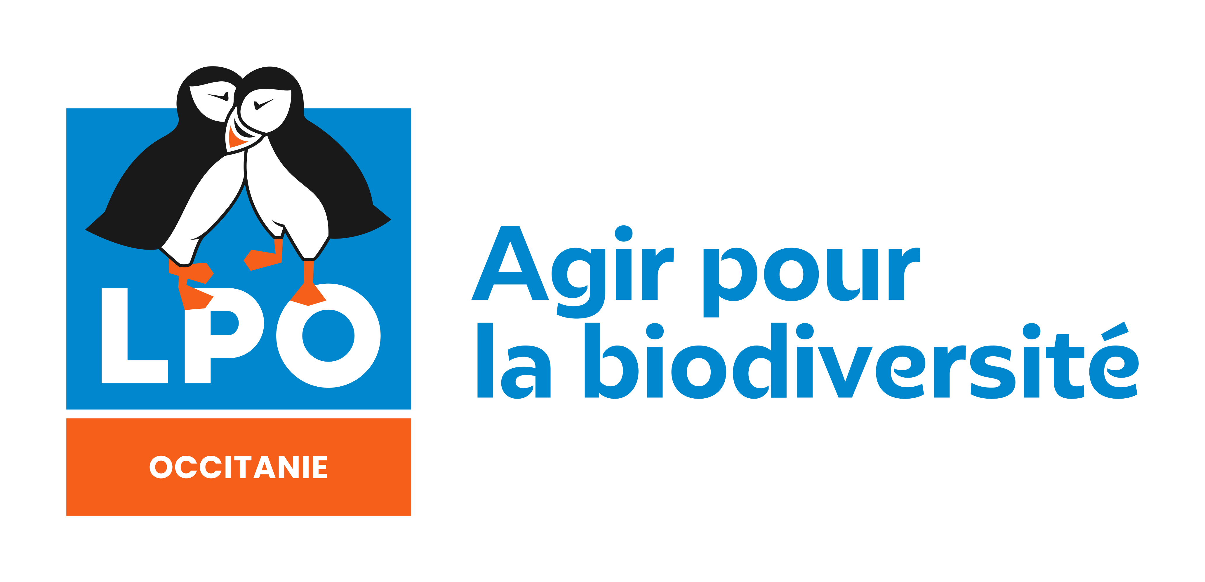 Renard roux - LPO (Ligue pour la Protection des Oiseaux) - Agir pour la  biodiversité