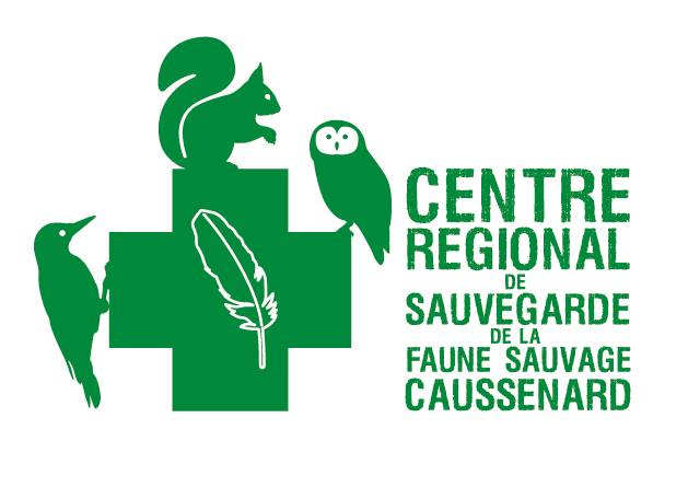 logo crsfc