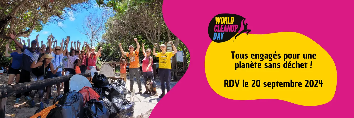 WorldCleanupDay20septembre