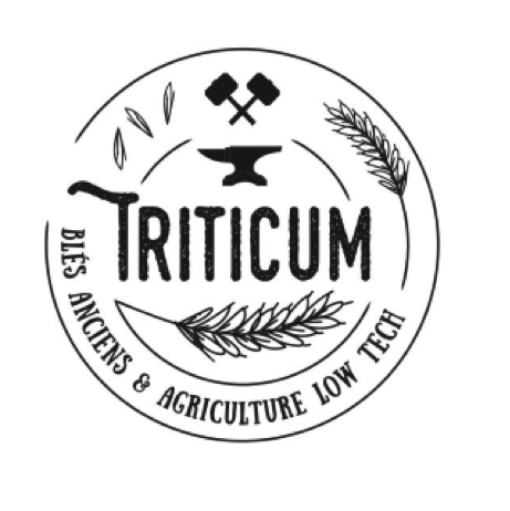 logo triticum