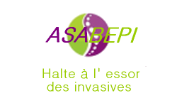 Association ASABEPI