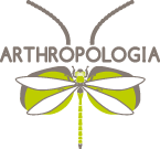 ARTHROPOLOGIA